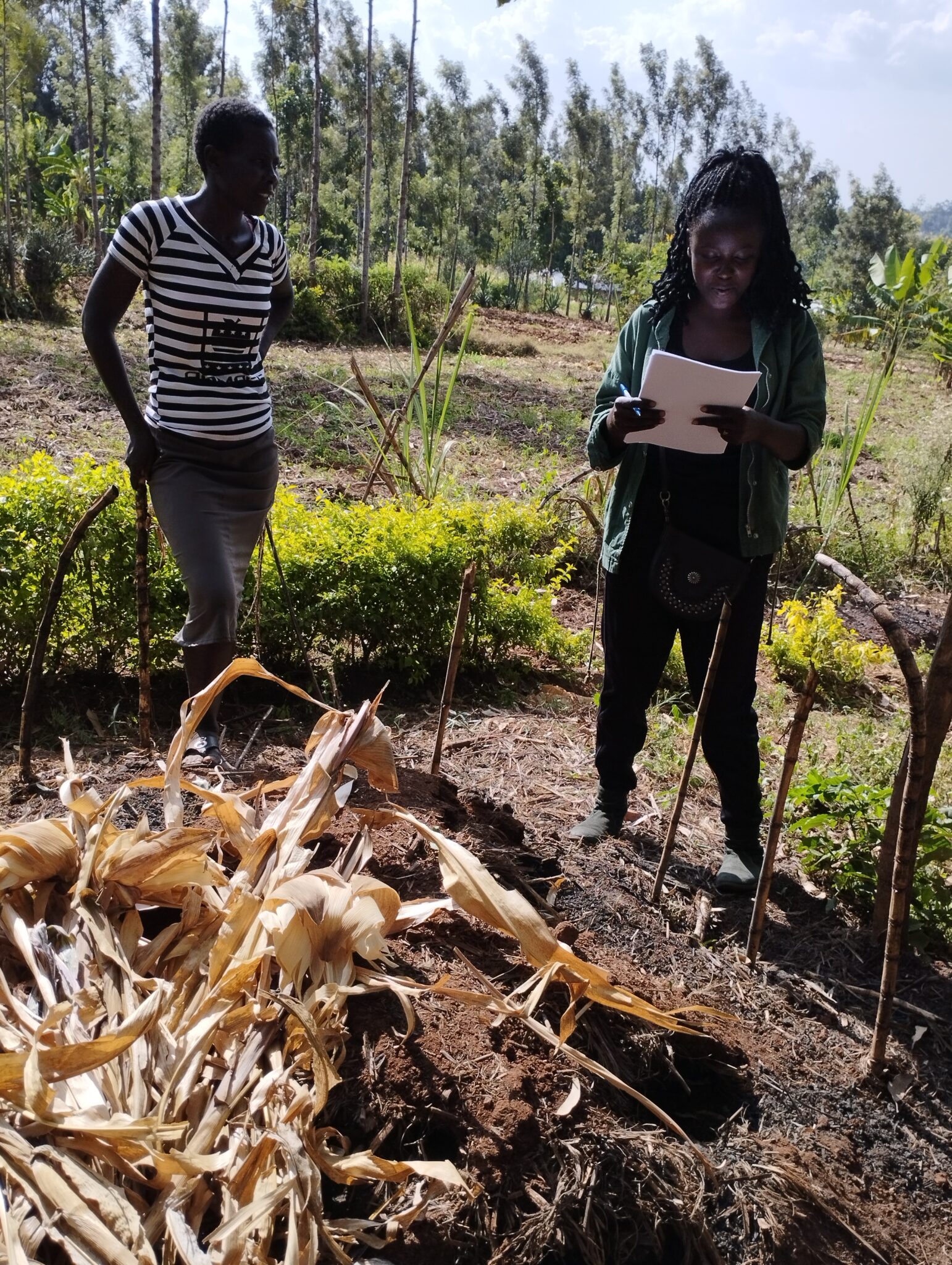 IMG_20220712_155049 Olessy inspecting Vickelines compost 2022
