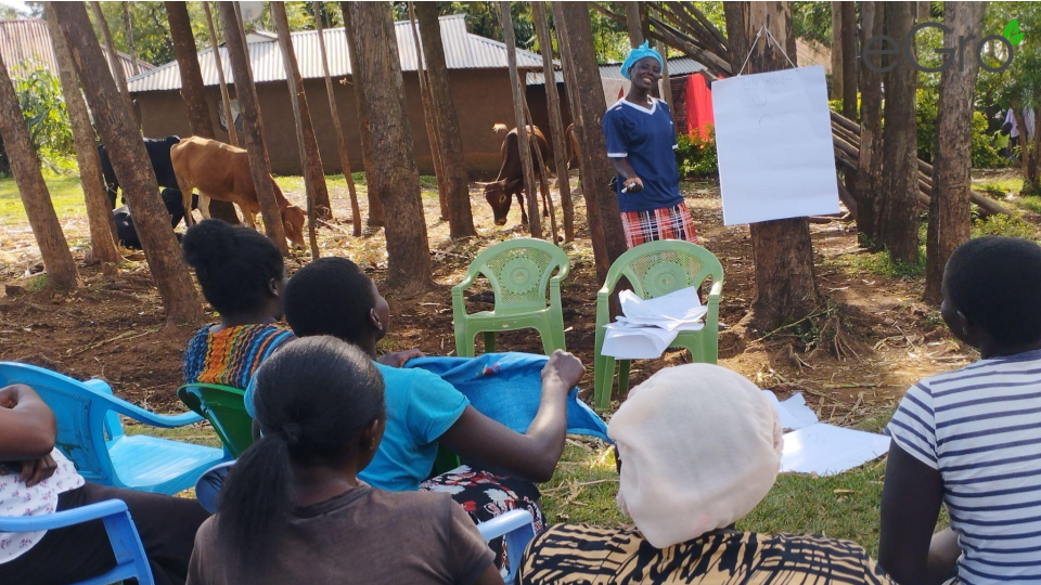 Teaching module developed for education of farmers in Kenya in 2022